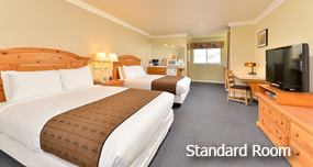 Standard Rooms Link