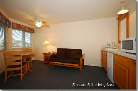 Standard Suite Living Area